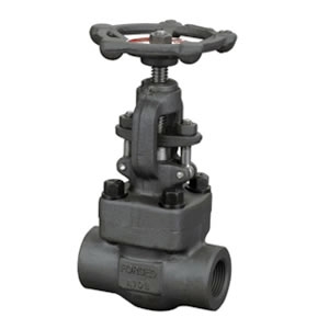 J61H/Y�͸ֽ�ֹ��